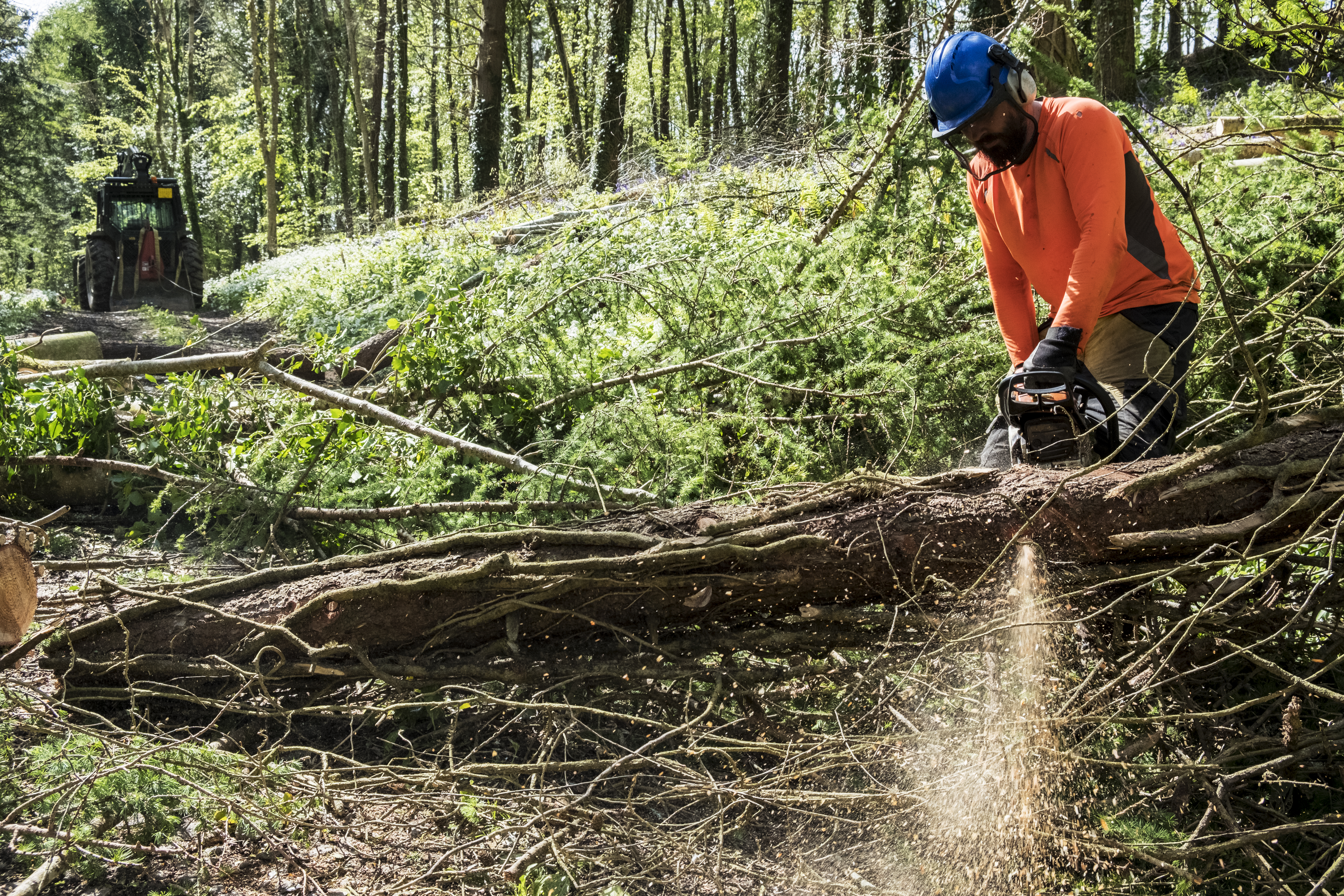 Man Using Chainsaw to clear fallen trees